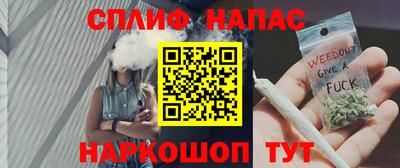 твердый Пугачёв