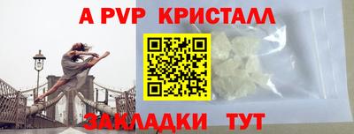 твердый Пугачёв