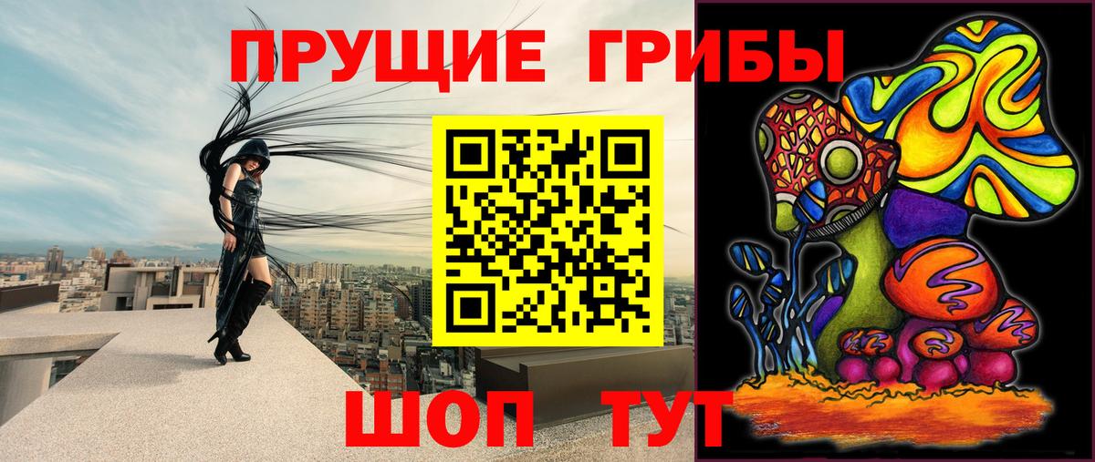 Дагестанские Огни  Псилоцибиновые грибы Cubensis  Галлюциногенные грибы Psilocybine cubensis  Вход с VPN 
